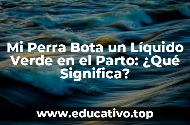 Mi Perra Bota un Líquido Verde en el Parto: ¿Qué Significa?