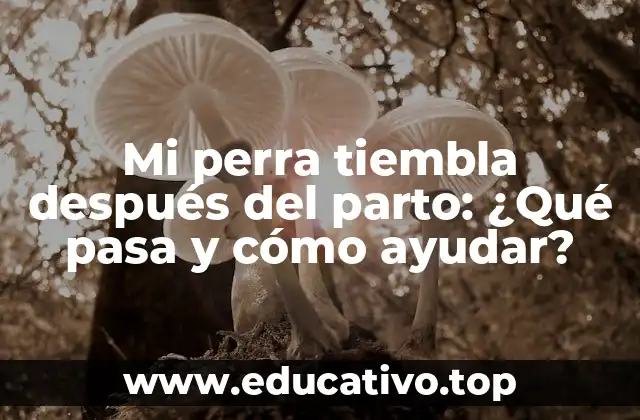 Mi perra tiembla después del parto: ¿Qué pasa y cómo ayudar?