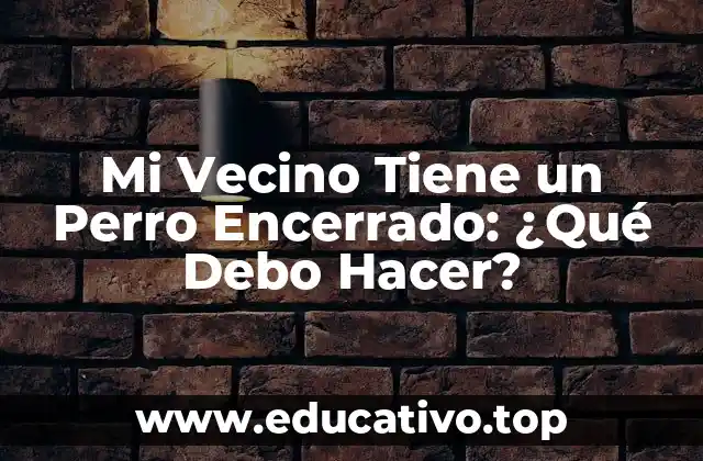 Mi Vecino Tiene un Perro Encerrado: ¿Qué Debo Hacer?