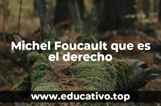 Michel Foucault que es el derecho