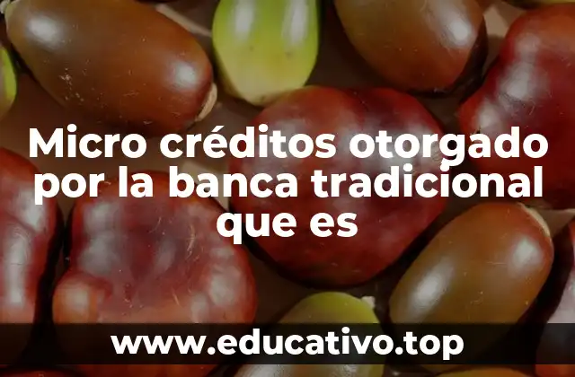 Micro créditos otorgado por la banca tradicional que es