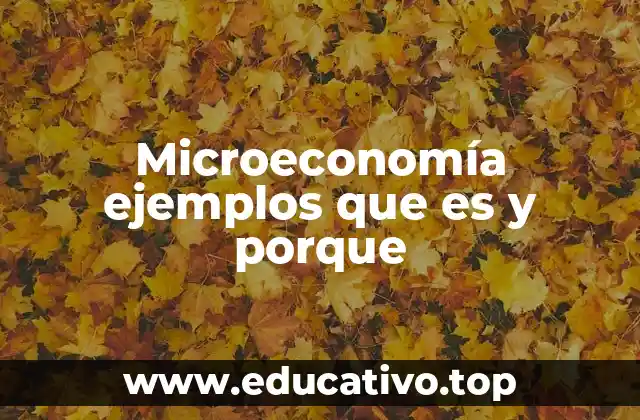 Microeconomía ejemplos que es y porque