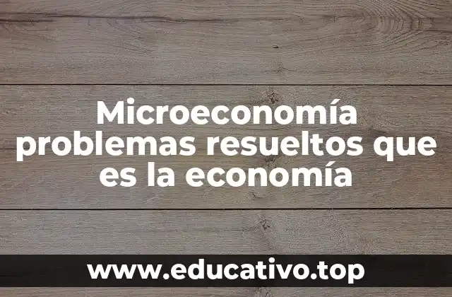 Microeconomía problemas resueltos que es la economía