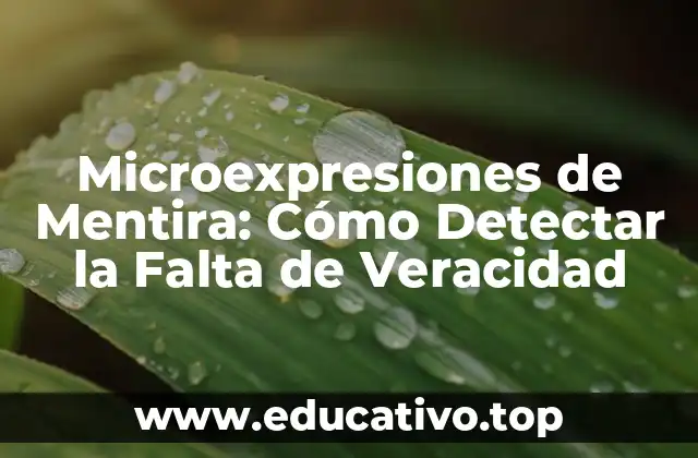 Microexpresiones de Mentira: Cómo Detectar la Falta de Veracidad