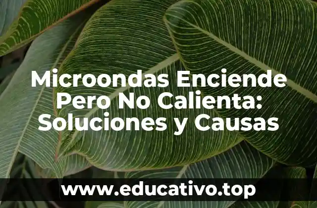 Microondas Enciende Pero No Calienta: Soluciones y Causas