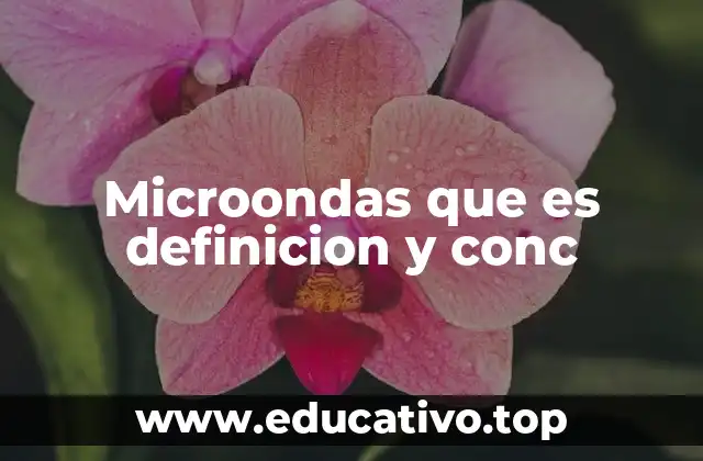 Microondas que es definicion y conc