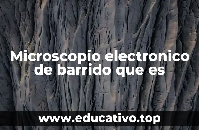 Microscopio electronico de barrido que es