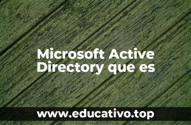 Microsoft Active Directory que es