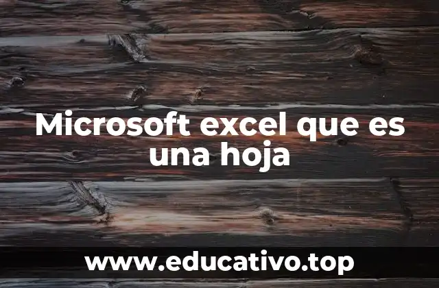Microsoft excel que es una hoja