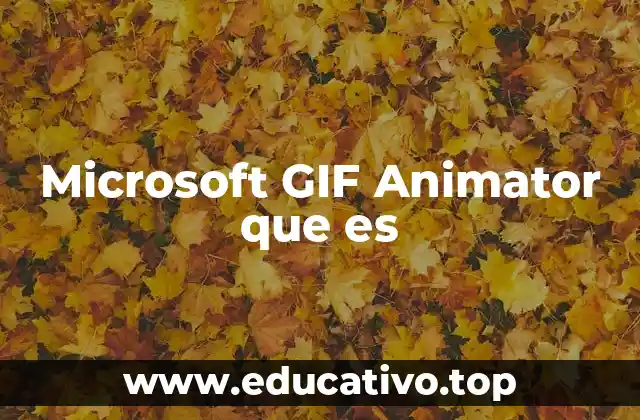 Microsoft GIF Animator que es