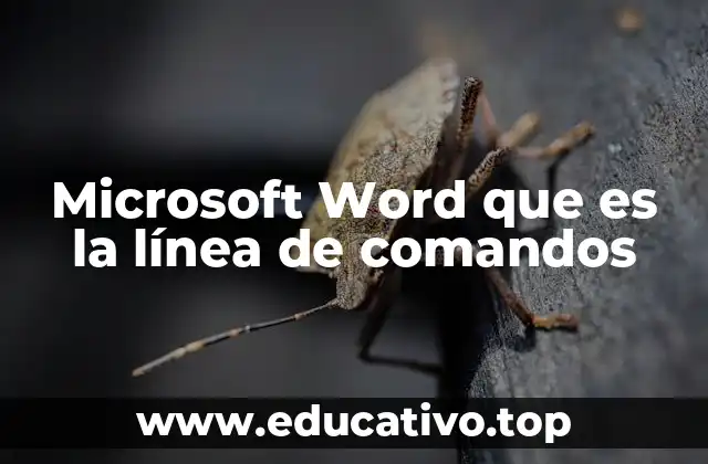 Microsoft Word que es la línea de comandos