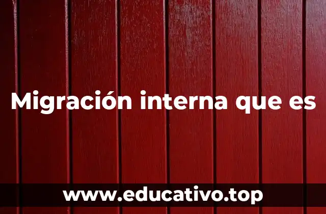 Migración interna que es
