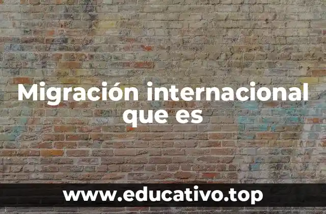 Migración internacional que es