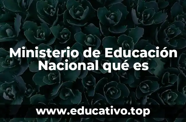 El rol del Ministerio de Educación en la sociedad