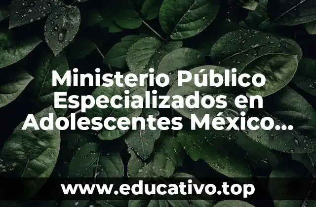 Ministerio Público Especializados en Adolescentes México que es