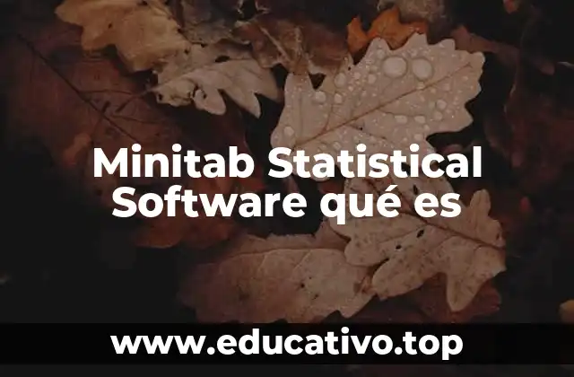 Minitab Statistical Software qué es