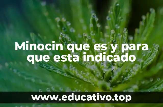 Minocin que es y para que esta indicado