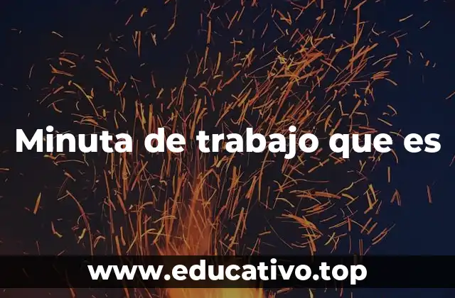 Minuta de trabajo que es