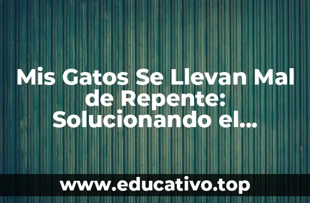 Mis Gatos Se Llevan Mal de Repente: Solucionando el Problema de la Agresividad Felina