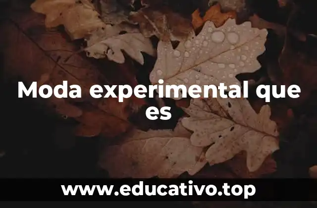 Moda experimental que es