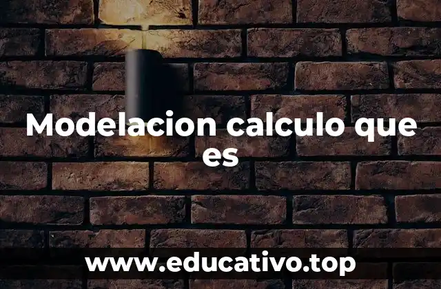 Modelacion calculo que es
