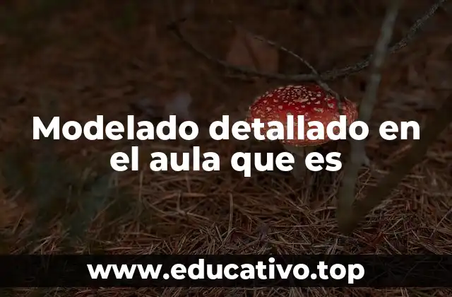 Modelado detallado en el aula que es