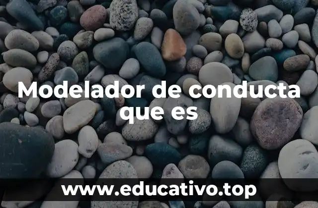Modelador de conducta que es