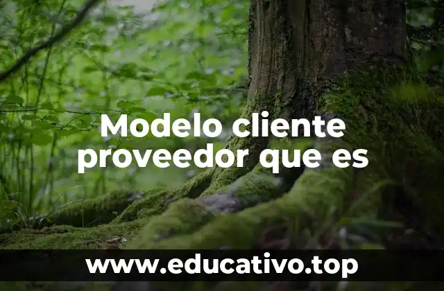 Modelo cliente proveedor que es
