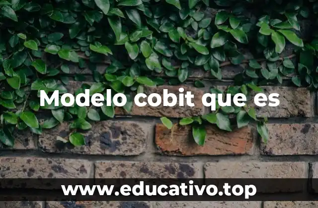Modelo cobit que es
