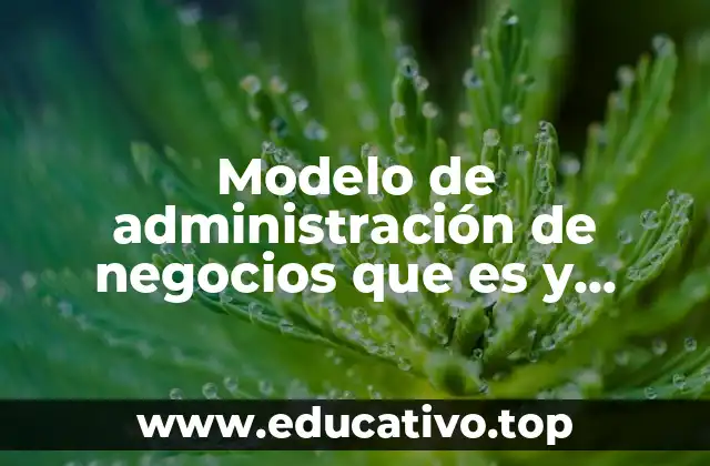 Modelo de administración de negocios que es y ejemplo