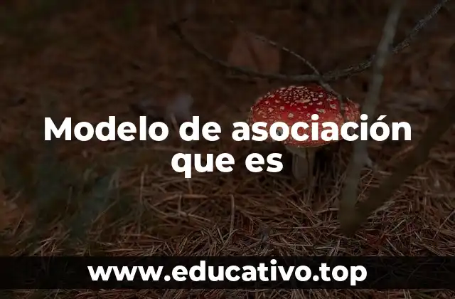 Modelo de asociación que es