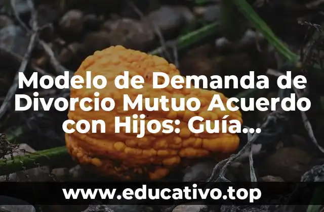 Modelo de Demanda de Divorcio Mutuo Acuerdo con Hijos: Guía Completa