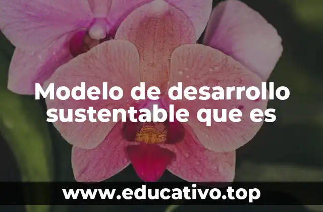 Modelo de desarrollo sustentable que es