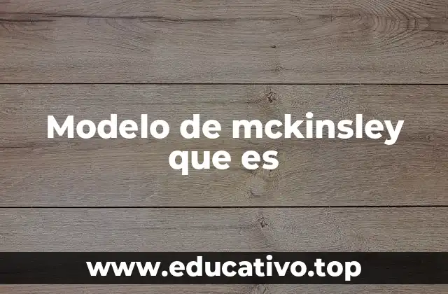 Modelo de mckinsley que es