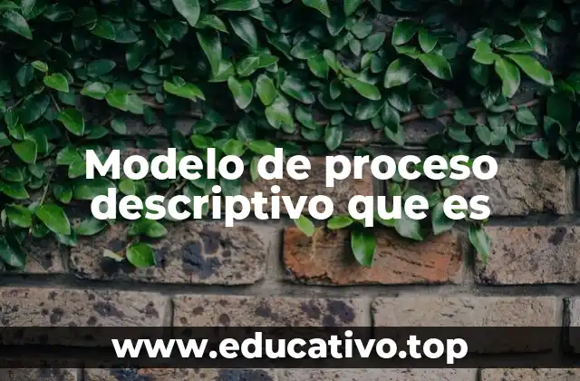Modelo de proceso descriptivo que es