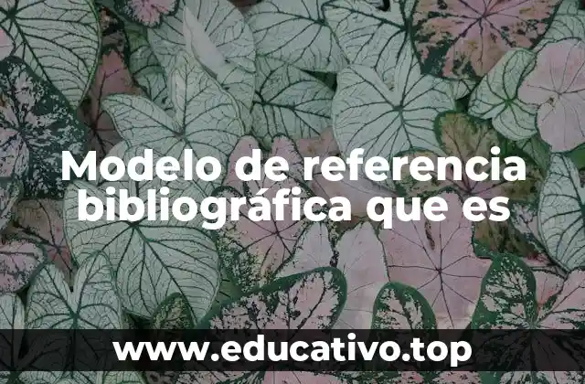 Modelo de referencia bibliográfica que es