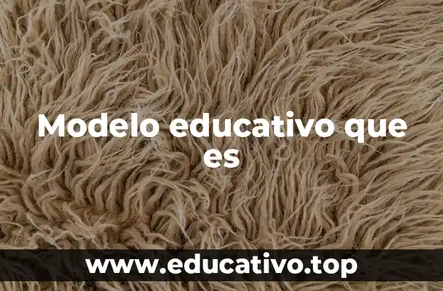 Modelo educativo que es