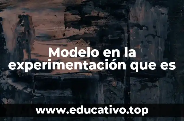 Modelo en la experimentación que es