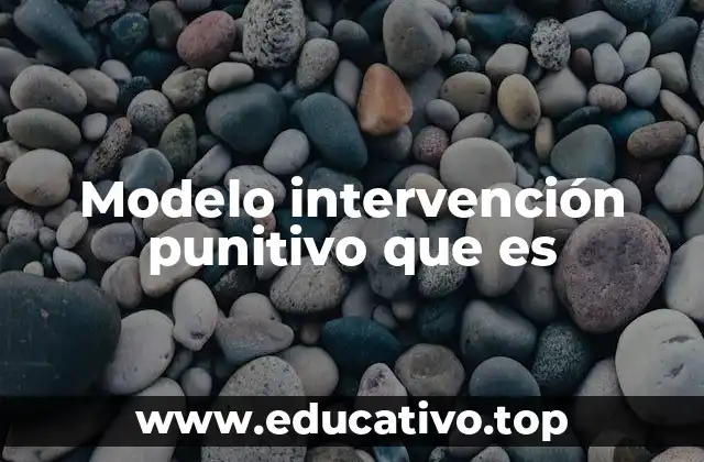 Modelo intervención punitivo que es