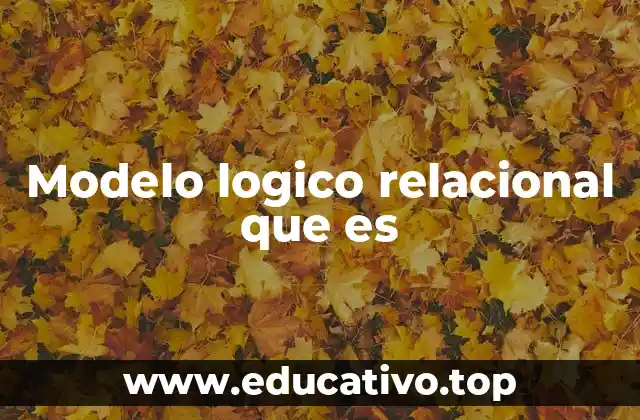 Cómo se diferencia del modelo físico y conceptual