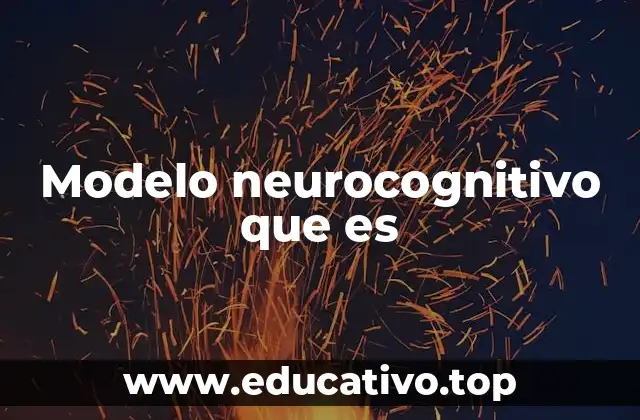 Modelo neurocognitivo que es