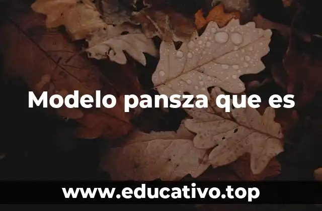 Modelo pansza que es