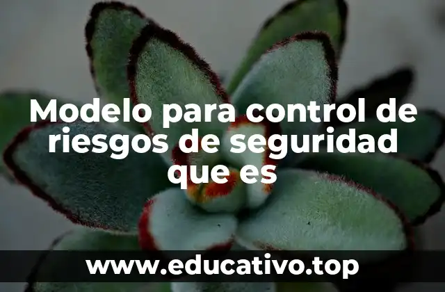 Modelo para control de riesgos de seguridad que es