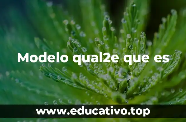 Modelo qual2e que es