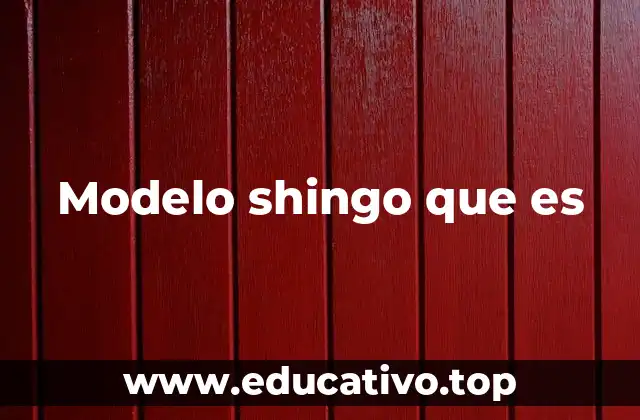 Modelo shingo que es