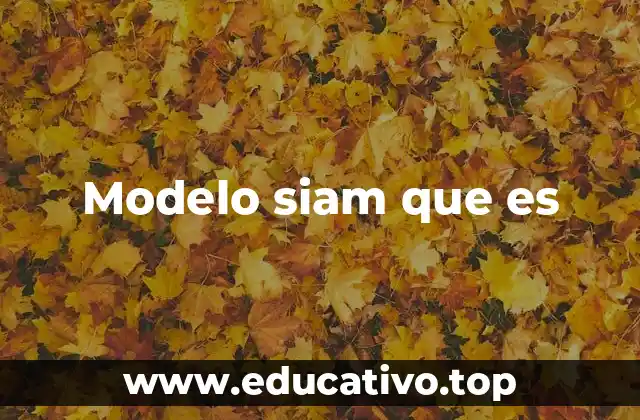 Modelo siam que es