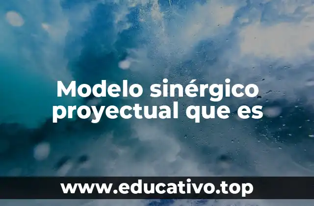 Modelo sinérgico proyectual que es