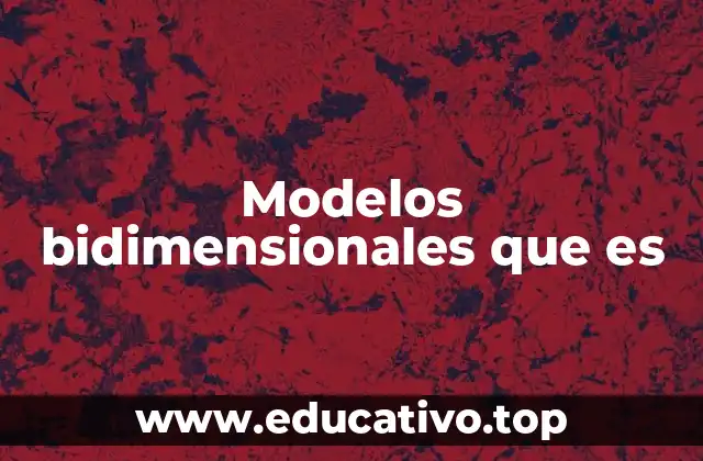 Modelos bidimensionales que es