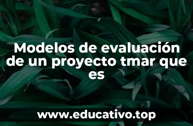 Diferentes enfoques para evaluar proyectos TMar que es
