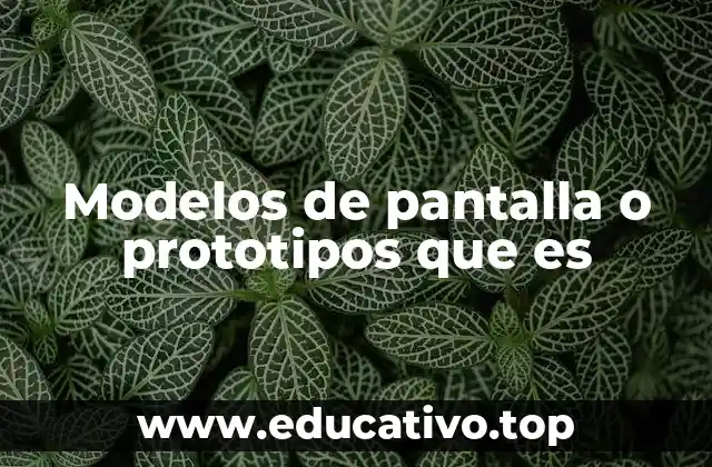 Modelos de pantalla o prototipos que es
